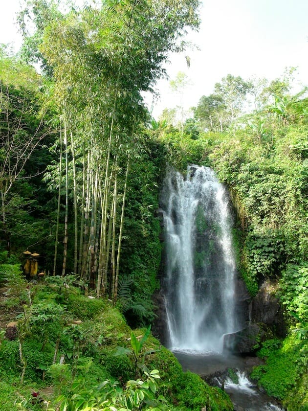 chutes d'eau bali indonésie