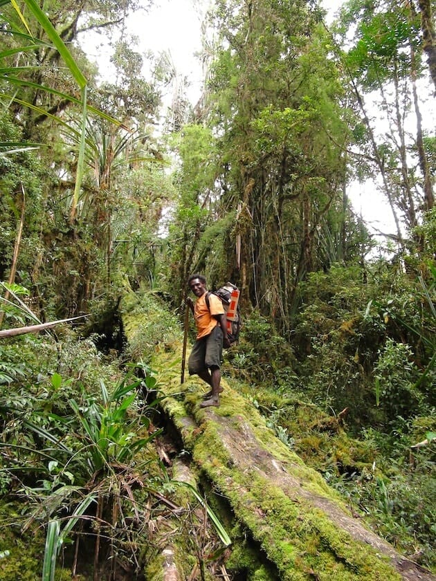 Yesaya sur un tronc vallée du Baliem Papouasie Yesaya sur un tronc vallée du Baliem Papouasie