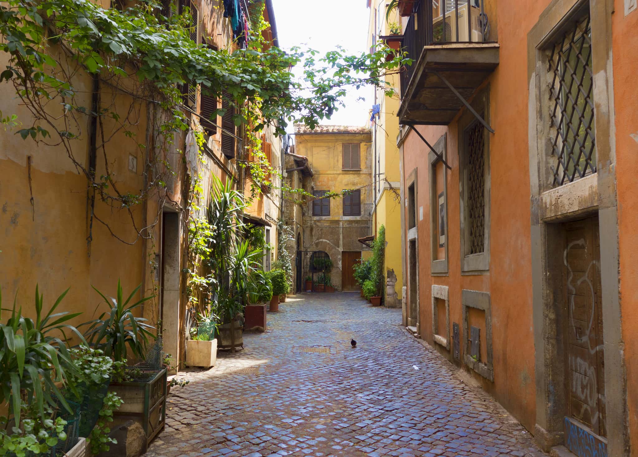 ruelle_trastevere_rome ruelle trastevere rome