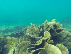 road trip australie coral bay