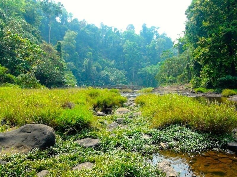 paysages bolovens laos paysages bolovens laos