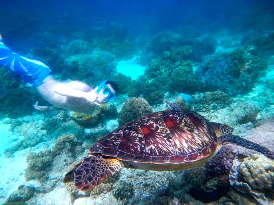 activite gratuite philippines activite gratuite philippines