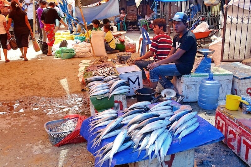 marché poisson rantepao