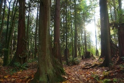 Stanley park vancouver