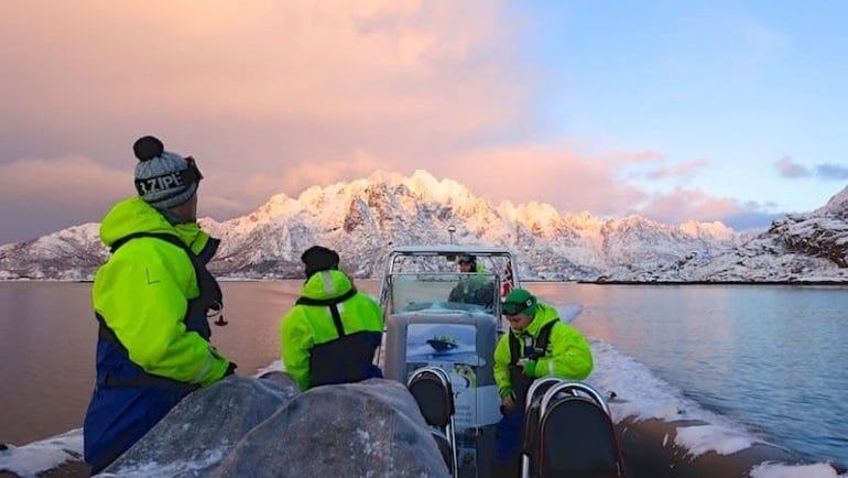 observation des aigles lofoten aurores boréales en Norvège