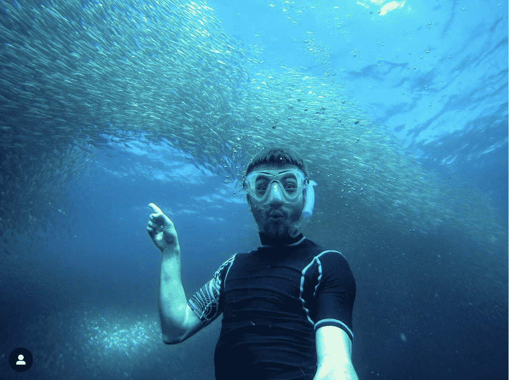 moalboal nager sardine poisson beach