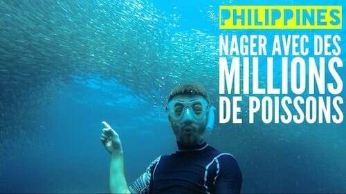MoalBoal, le lieu où nager avec des millions de poissons aux Philippines moalboal philippines sardines