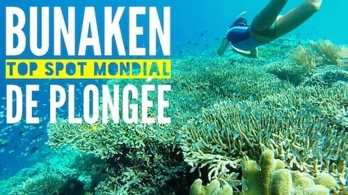 bunaken indonesie plongeebunaken indonesie plongee
