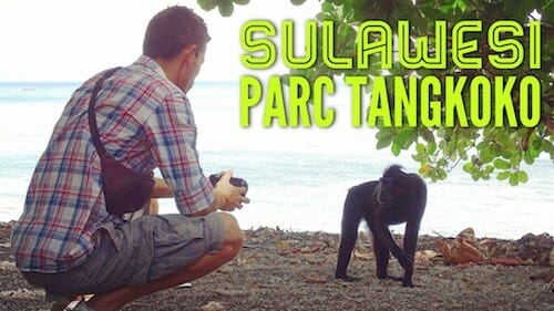 park-tangkoko-sulawesi