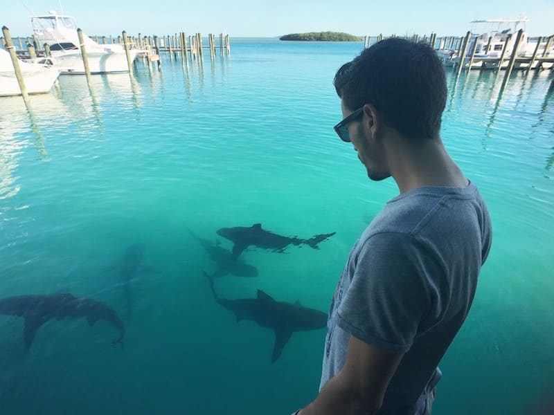 Big Game Resort Club Bimini