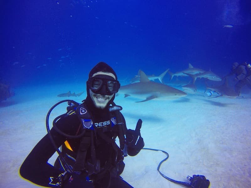 plongee requin Grand Bahamas plongee requin grand bahamas