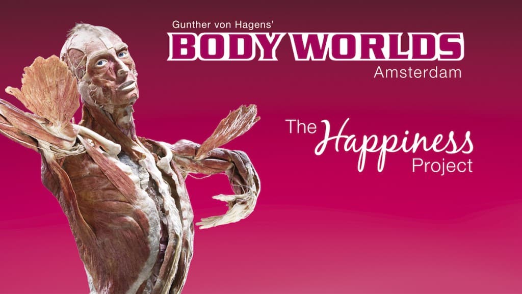 body_worlds_amsterdam body_worlds_amsterdam