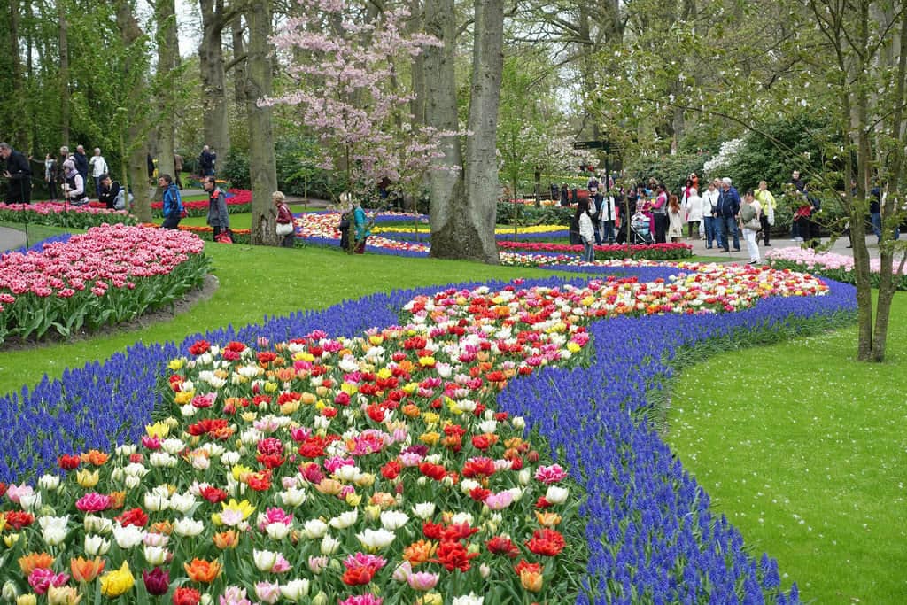 jardin_keukenhof_amsterdam jardin keukenhof amsterdam