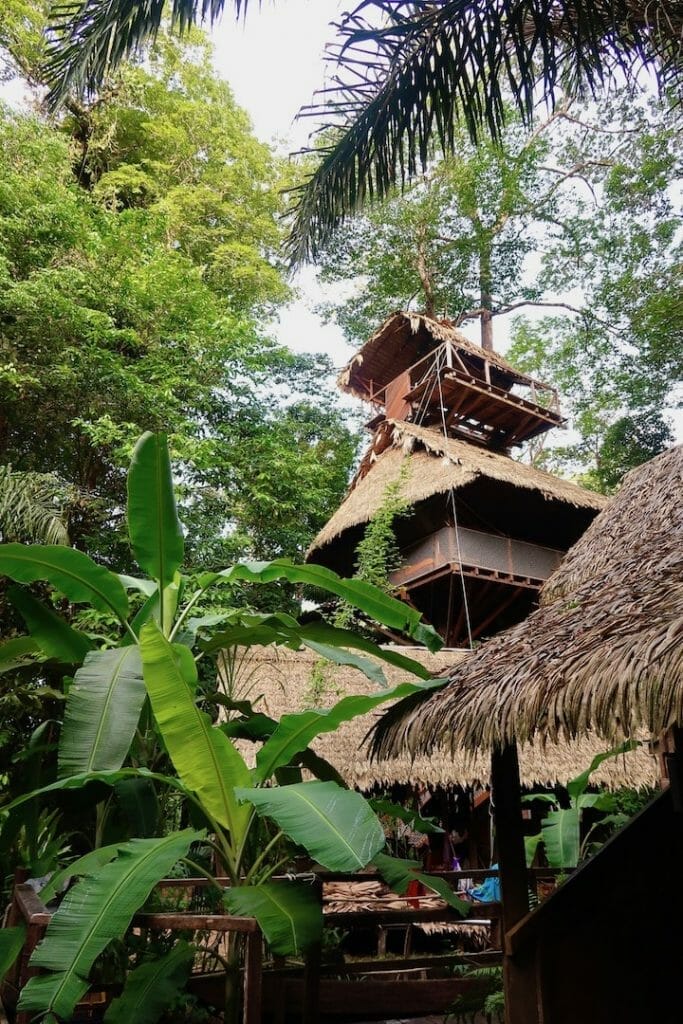que_faire_en_guyane_camp_canopee que faire en guyane camp canopee