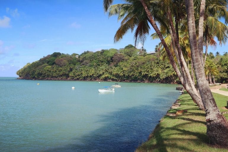 faire_un_tour_sur_ile_royale_guyane faire tour ile royale que faire en guyane
