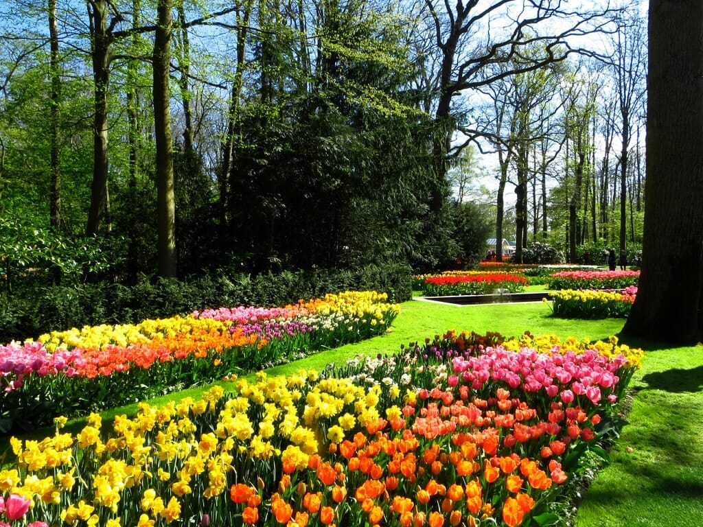 Jardin aux Fleurs de Keukenhof à proximité d'Amsterdam