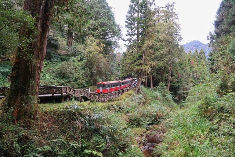 train Alishan parc national train Alishan parc national