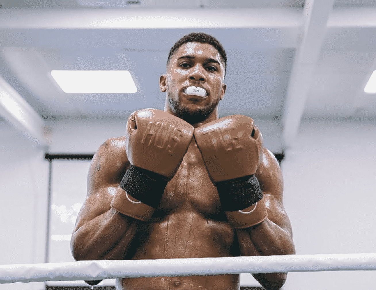 instagram anthony joshua
