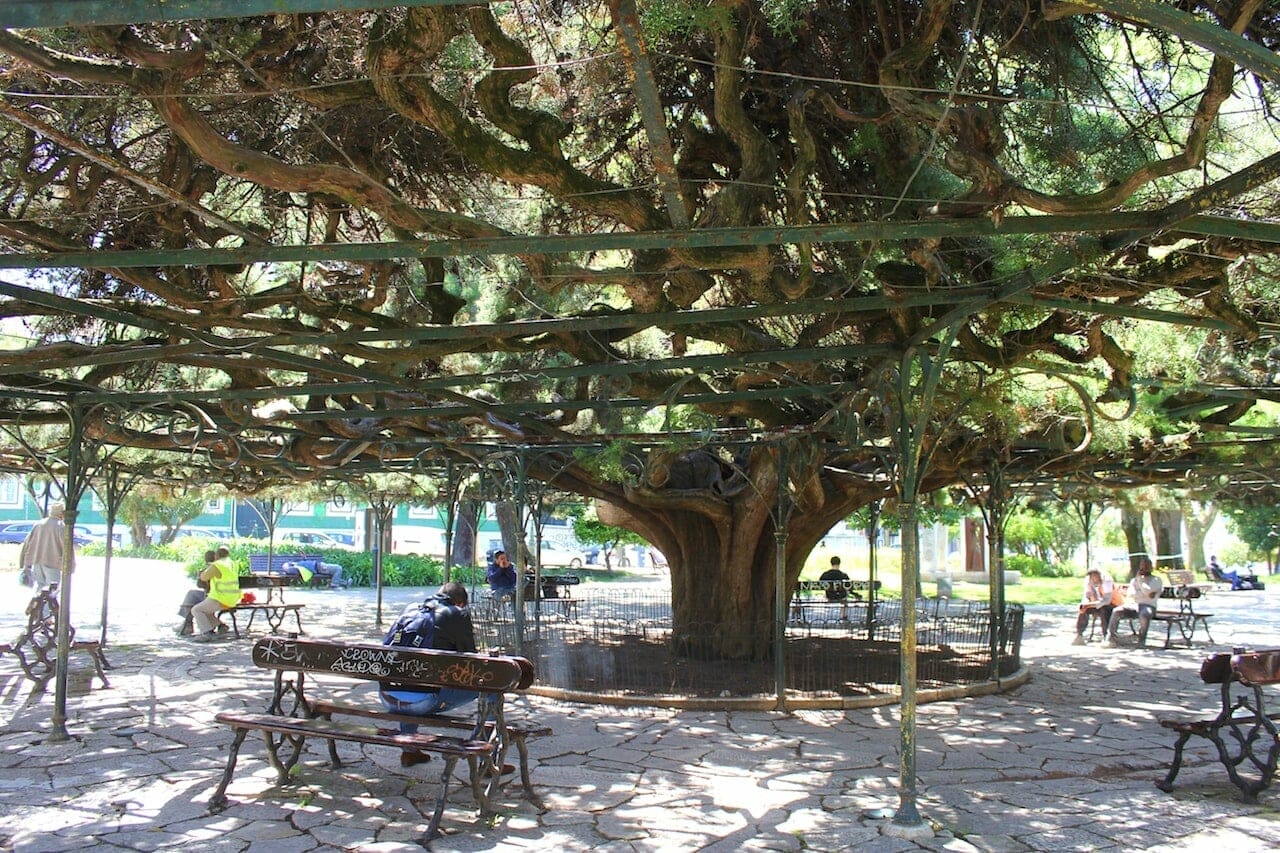 quels quartiers visiter à Lisbonne