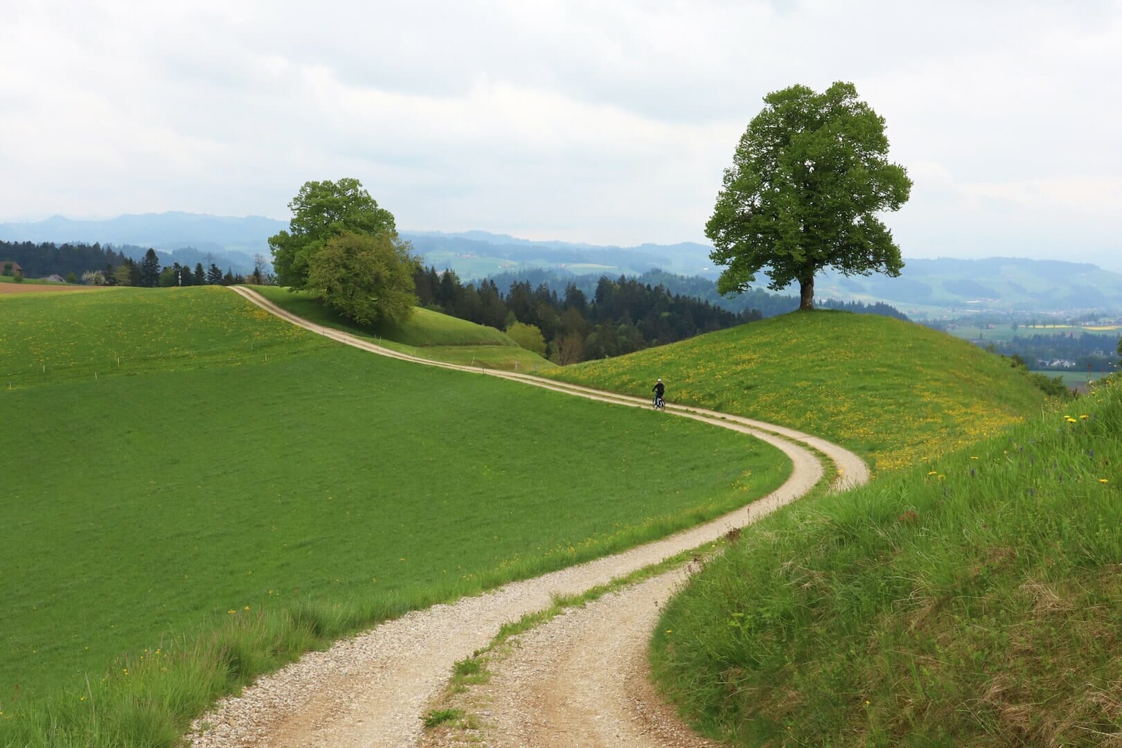 IMG_2301-min week-end en suisse