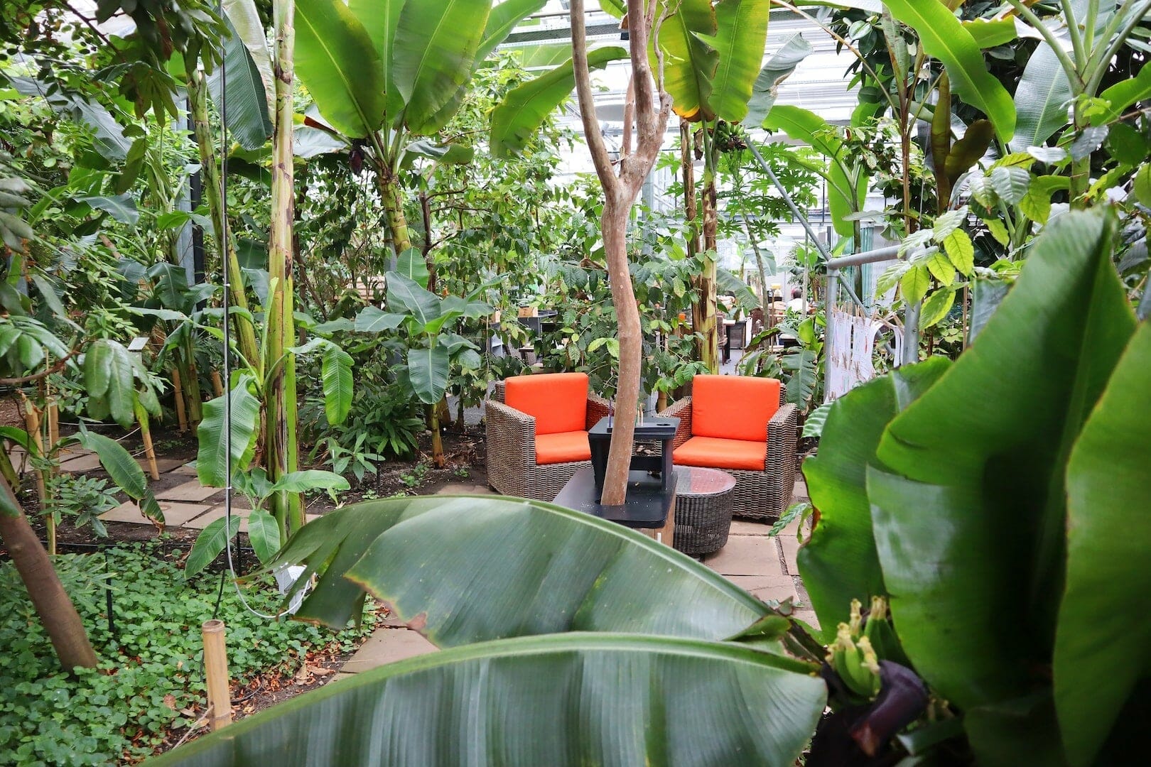 IMG_2462-min week-end en suisse