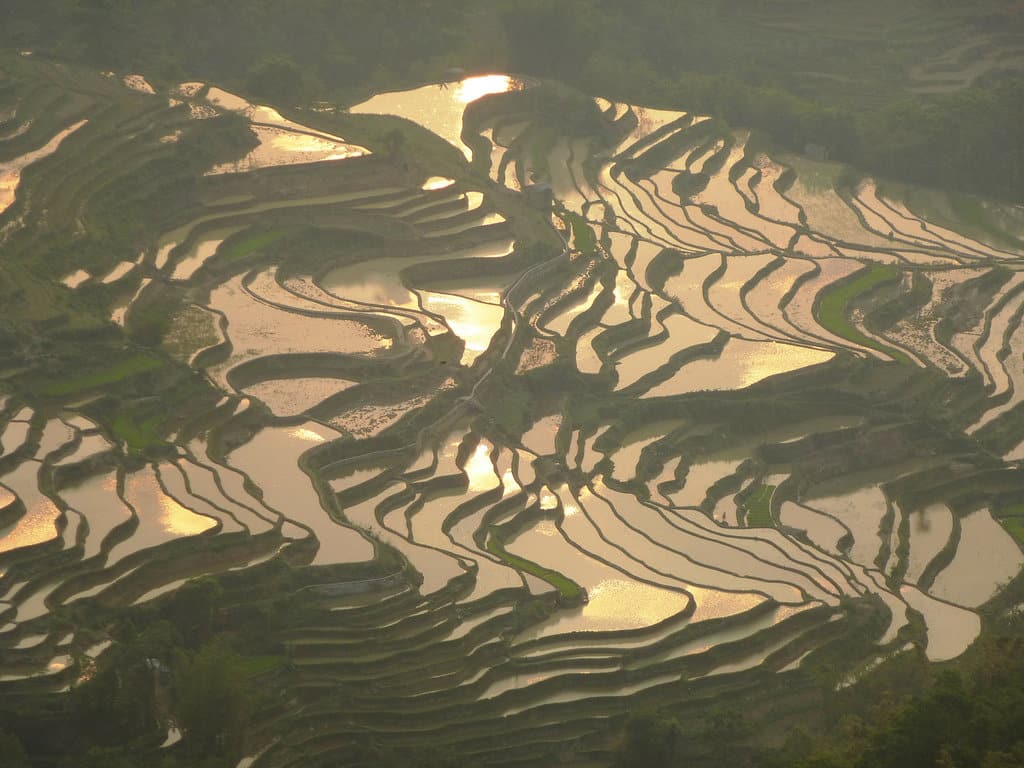 yunnan_riziere_yuanyang Les superbes rizières qui subliment les paysages