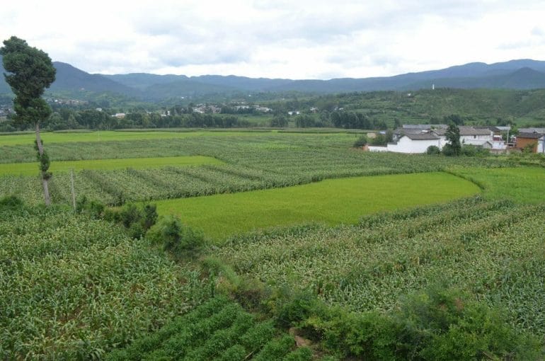 yunnan_route_the_shaxi La route du thé véritable tremplin commerciale qui traverse Shaxi