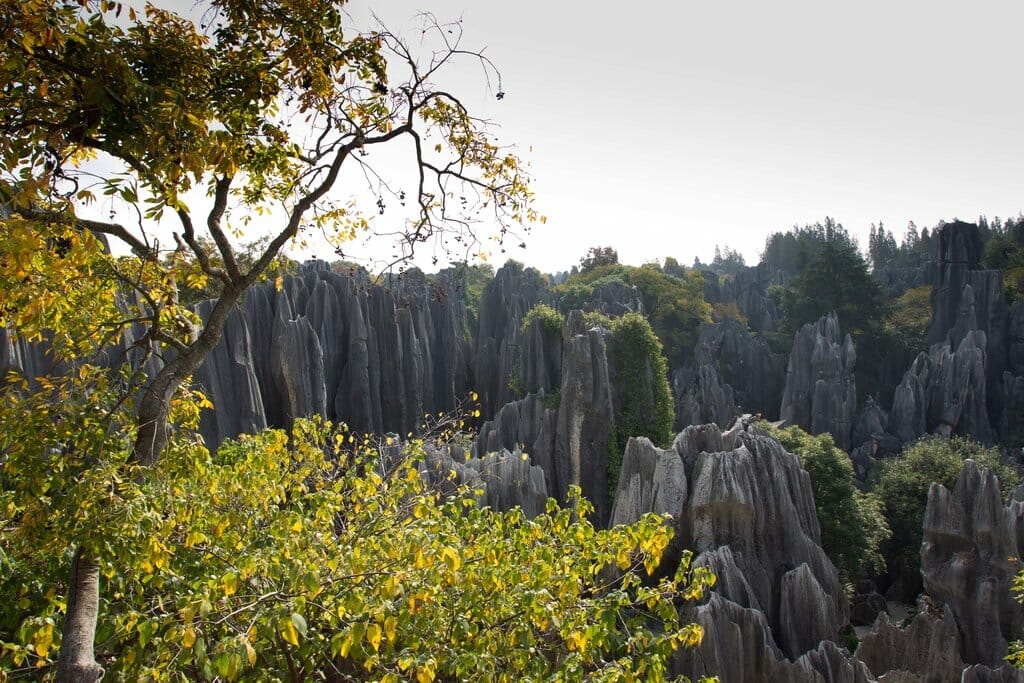 yunnan_shilin_foret_de_pierres La forêt de pierres de Shilin