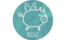 budgi sites de voyage utiles