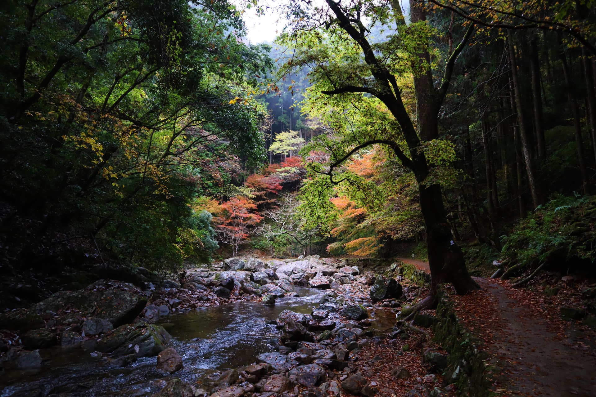 Voyage au Japon cascades d'Akame