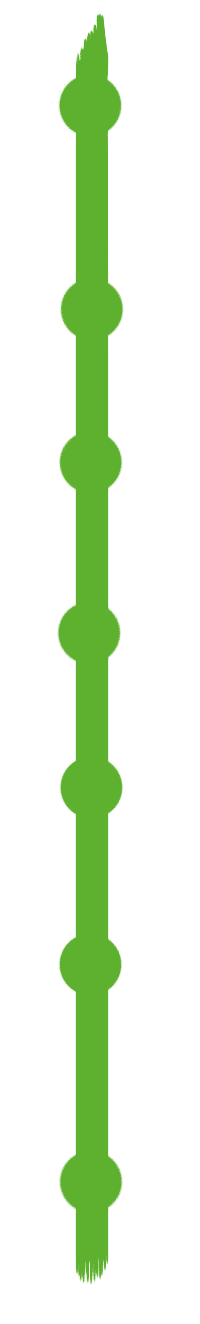 film solidaire etapes elaborer projet humanitaire