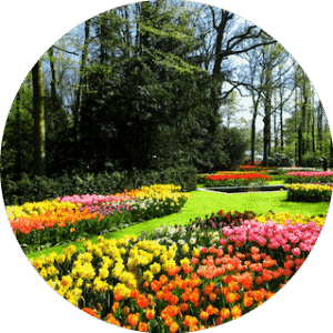 amsterdam jardin keukenhof