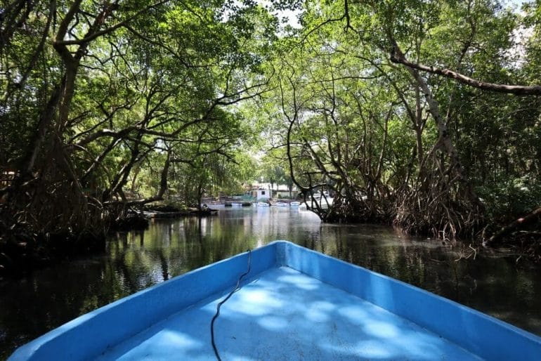 Laguna Gri Gri, Rio San Juan laguna gri gri rio san juan republique dominicaine