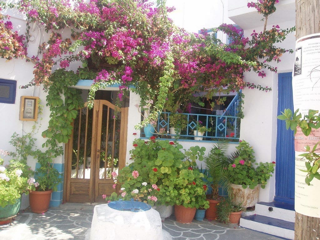 milos_flore milos_flore