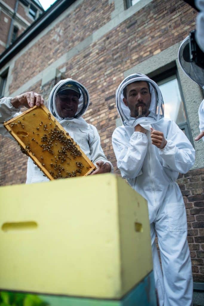 rucher turlu quebec chateau frontenac