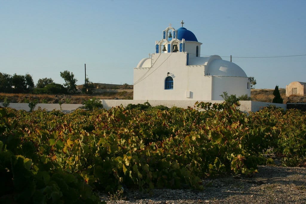 santorin vignes domaine