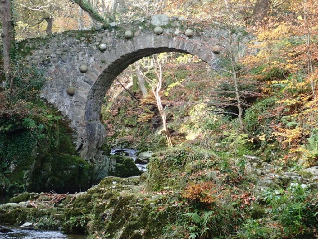 Forêt_de_Tollymore foret tollymore visite irlande nord dublin game of thrones