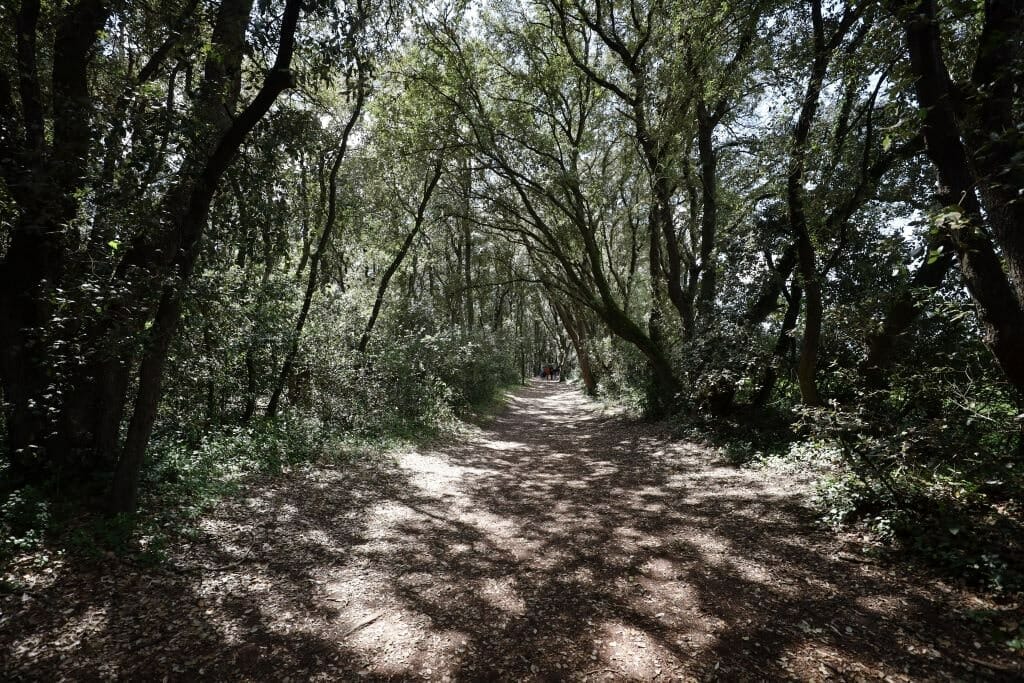 Randonnée_point_du_Payré randonnee point payre visite vendee