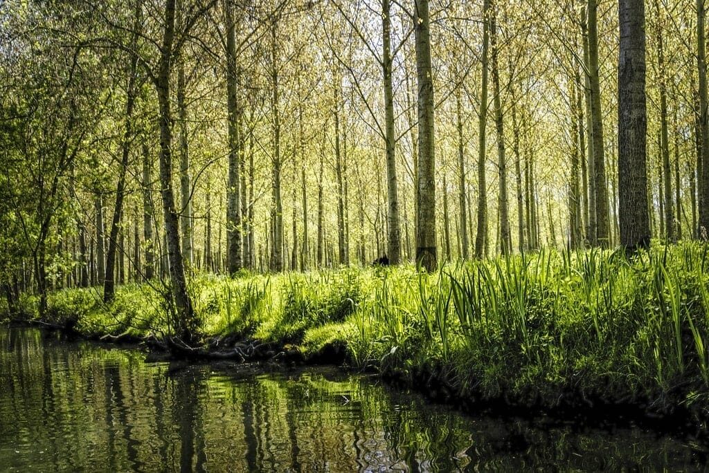 marais poitevin visite vendee