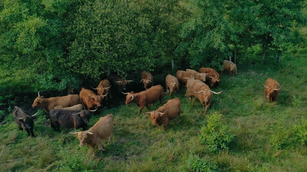 Le Marais Vernier weekend proche de Paris