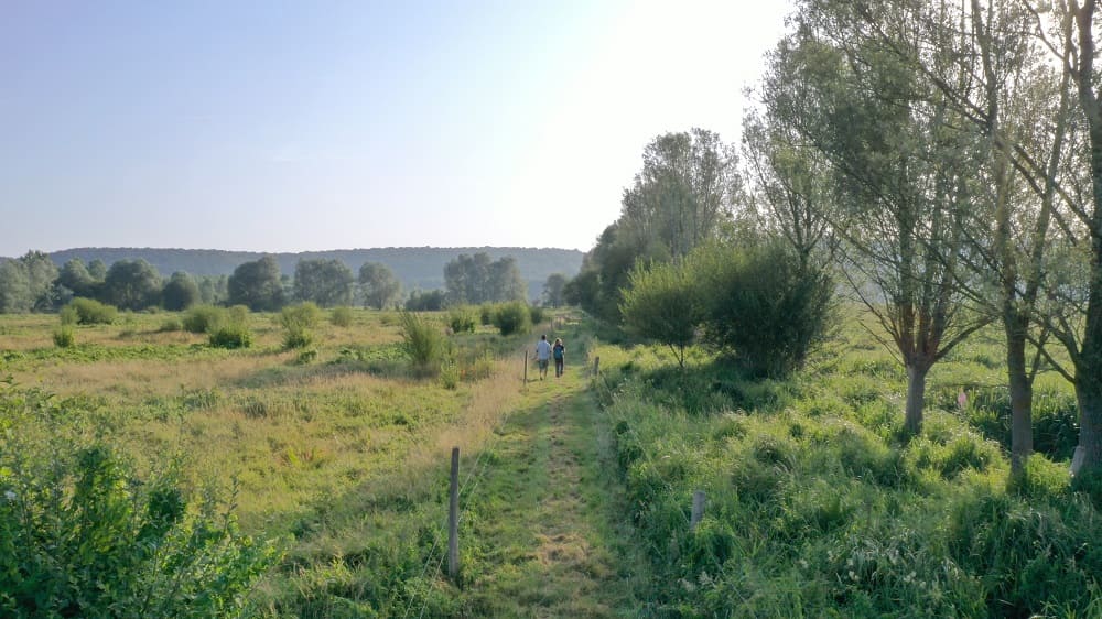 Sentier de l'Anguille sentier de l'anguille