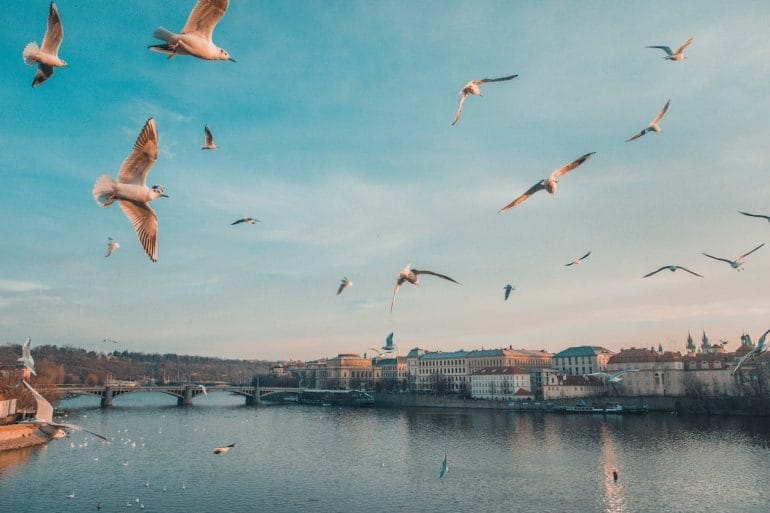 prague_@anthonydelanoix itinéraire pour visiter prague