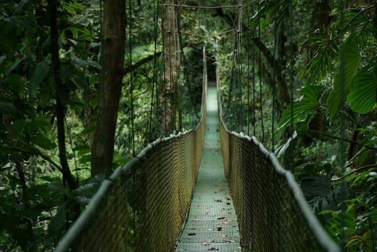 Pont_suspendu_Rainforest_Lodge pont suspendu rainforest lodge que faire costa rica