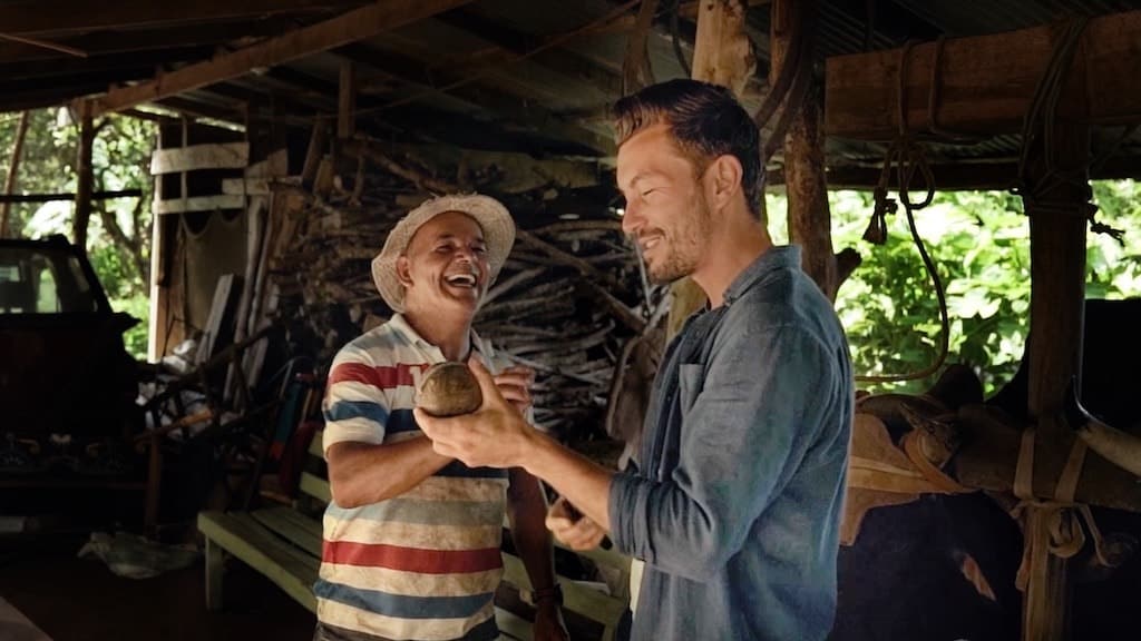 zapotal canne sucre costa rica