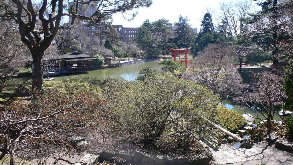Brooklyn_Botanic_Garden brooklyn botanic garden