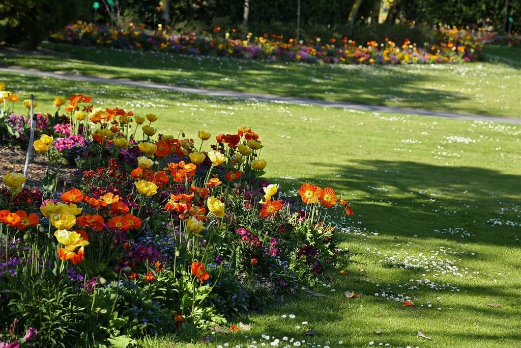 jardin des plantes visiter nantes