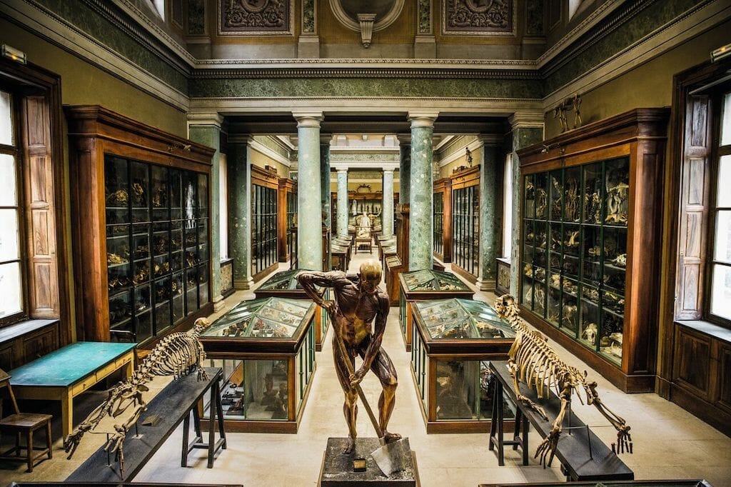 musee anatomie visiter montpellier