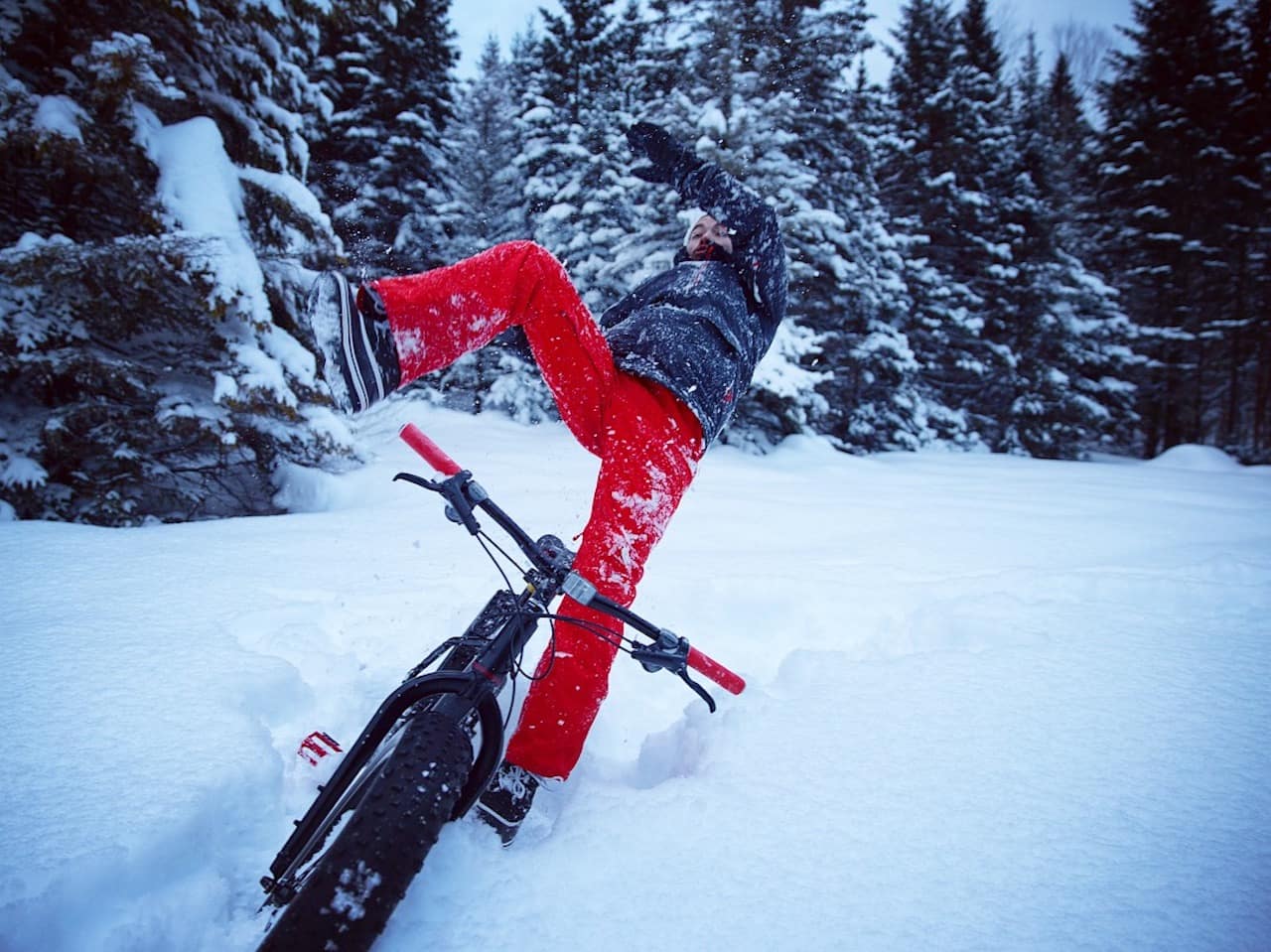 alex_vizeo_quebec2 assurance jeune