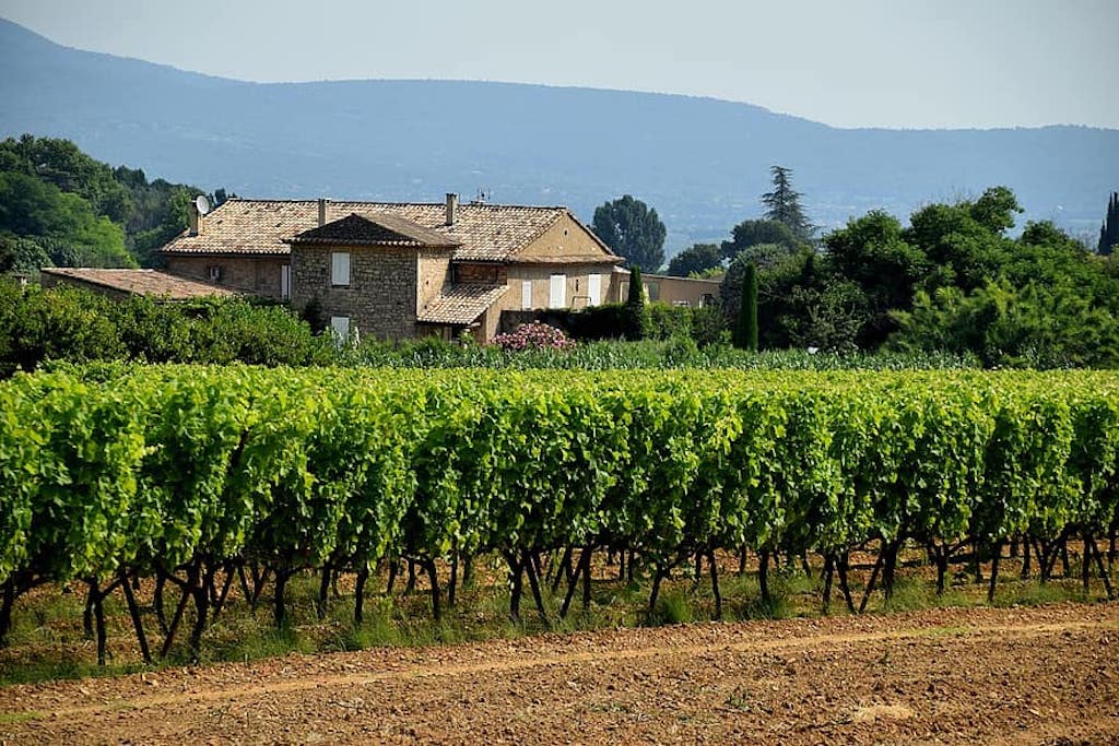 vignoble reims visite guidee