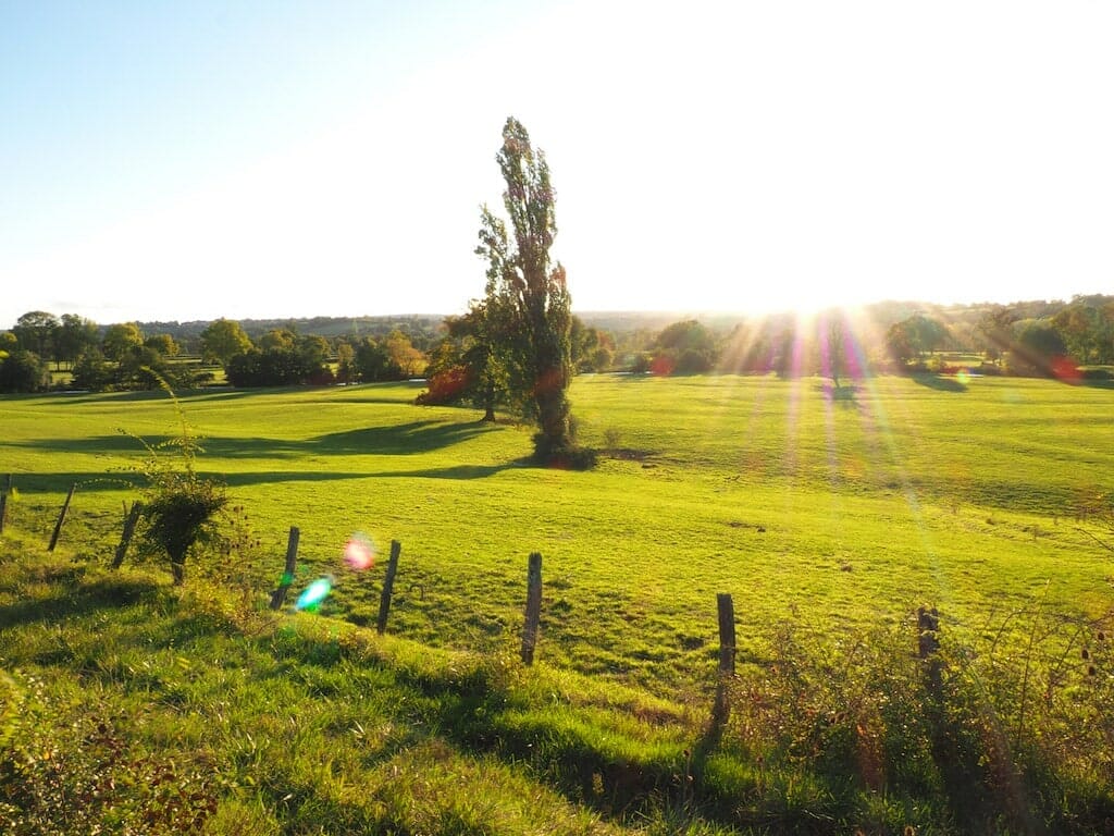 champ que faire dans la nievre champ que faire dans la nievre